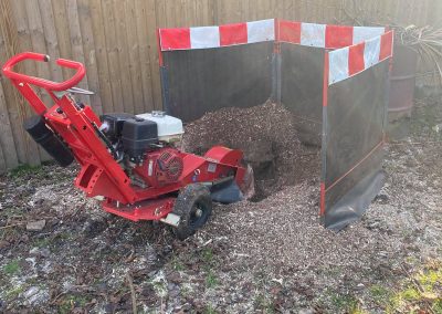 stump removal new