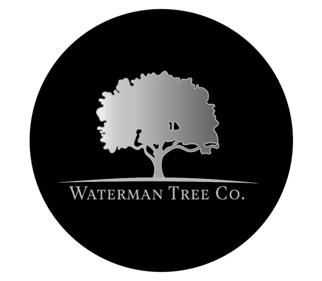 waterman tree co