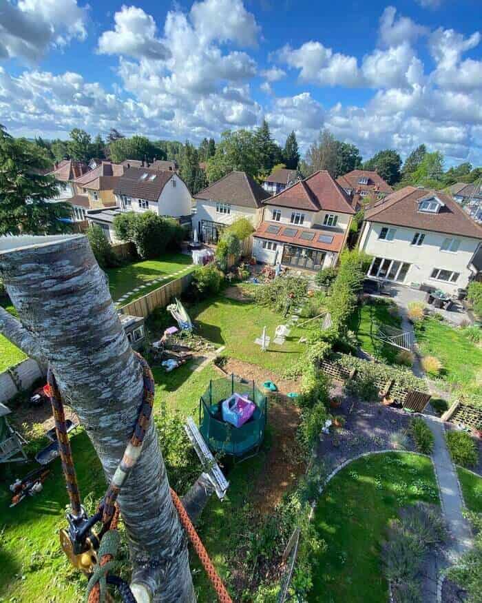 Waterman Tree Co, Hitchin tree surgeons rope techniques