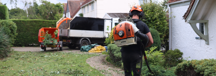 Tree Surgeon with a leaf blower on his back