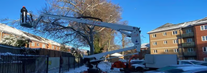tree surgeons on crane in winter